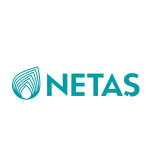 Netaş